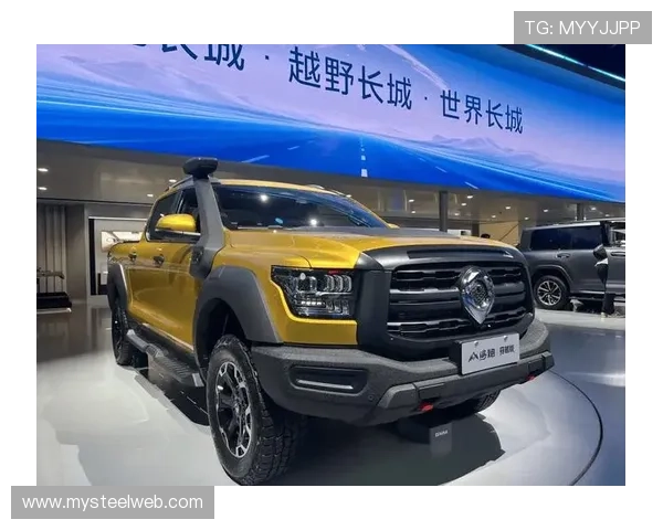 18万越野大玩具抱回家！性能强悍，越野体验长城2.4T越野炮